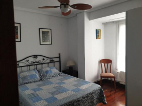 3 bedrooms appartement with wifi at Errenteria